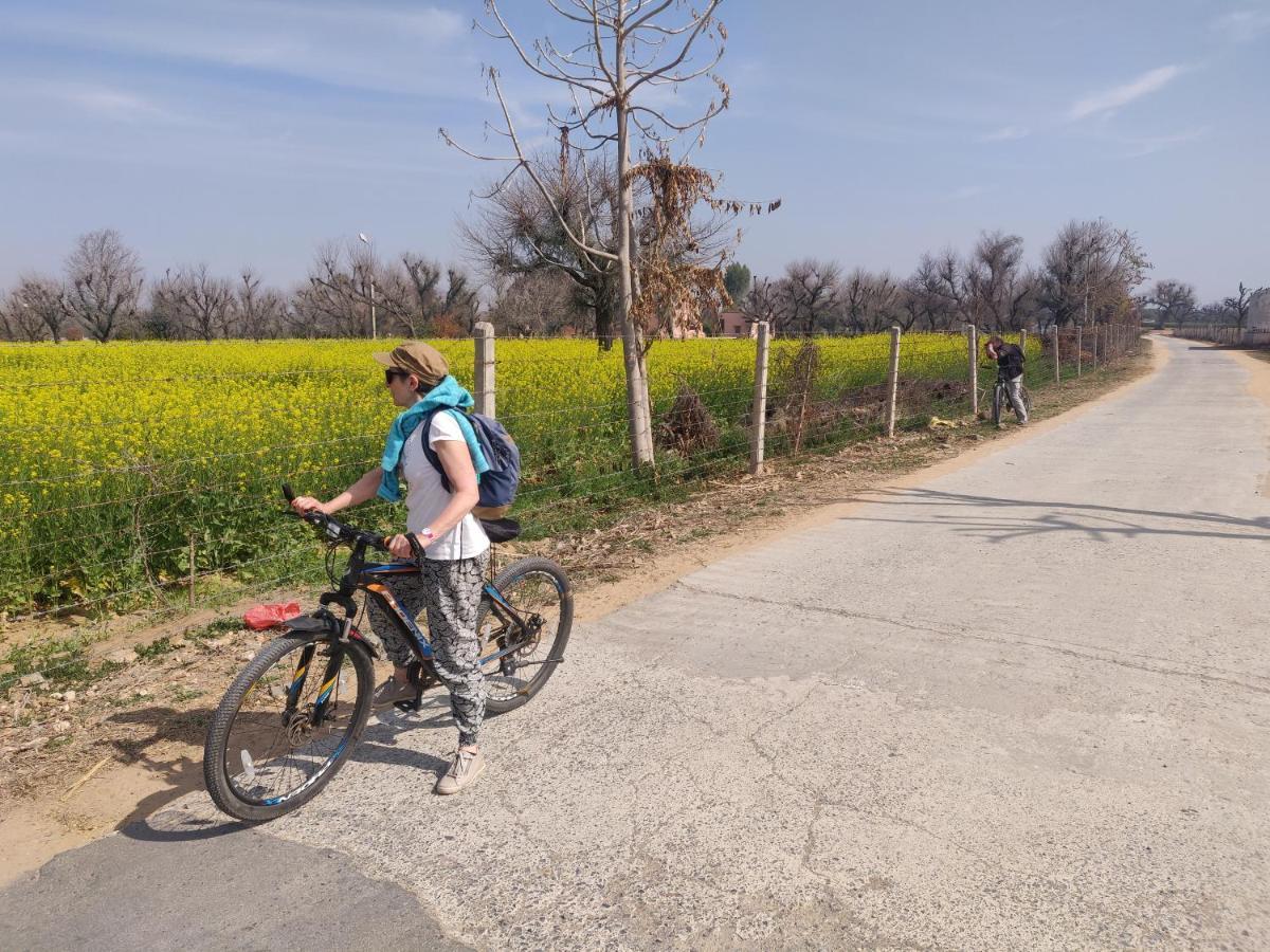 Nawalgarh Tourist Pension מראה חיצוני תמונה